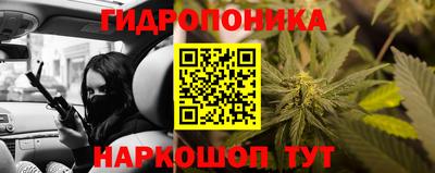 винт Дубна
