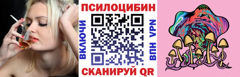 OMG как зайти  Топки  Псилоцибиновые грибы прущие грибы 