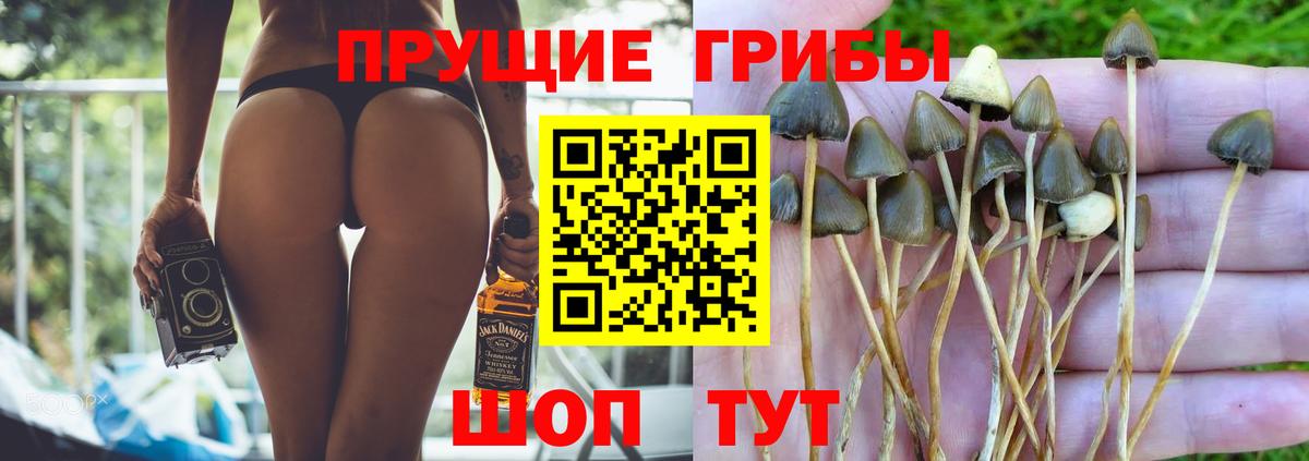 Галлюциногенные грибы ЛСД  Псилоцибиновые грибы GOLDEN TEACHER  Топки  Вход с VPN 